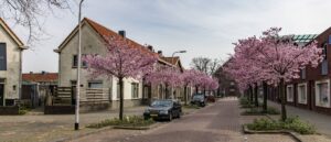 Project Tilburg Wassenaerlaan